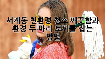 서계동 친환경 청소: 깨끗함과 환경, 두 마리 토끼를 잡는 방법