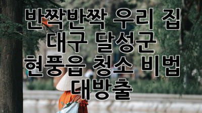 ✨ 반짝반짝 우리 집! 대구 달성군 현풍읍 청소 비법 대방출 🏡