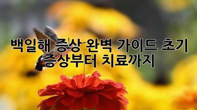 백일해 증상 완벽 가이드: 초기 증상부터 치료까지